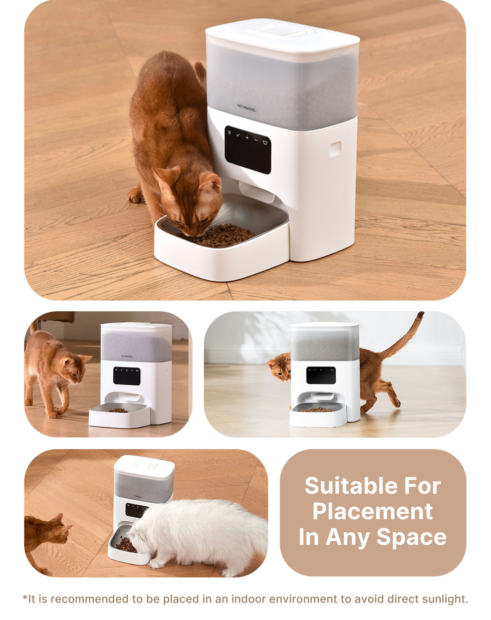 a portable cat feeding station for anywhere indoor