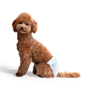 Disposable Diapers for Female Dog