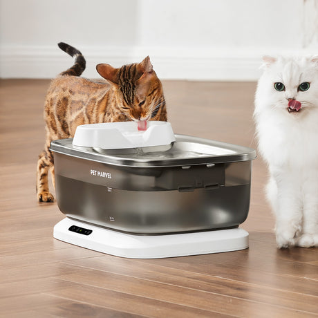 cat flowing water fountain, untippable cat water bowl