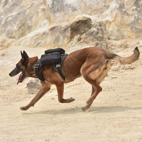 Tactical Dog Harness with Poop Bag Holder