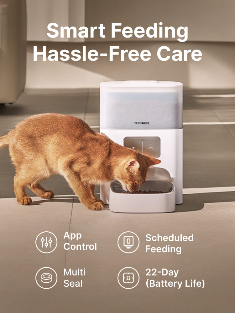 app control schedule feeding, self feeding cat bowl